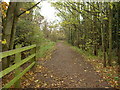 Bridleway between Greasby and Arrowe Park