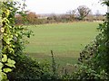 View of farmland through a gap in the hedge