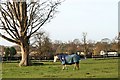 2007 : Field adjoining Leigh House Farm