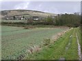 Footpath to Sutton Poyntz