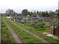 Rugby-Allotments off Lower Hillmorton Road