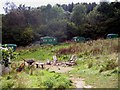 Caravans in Combs Wood