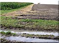 Footpath above Wheatley Lane