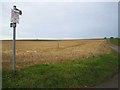 Thundridge:  Track and Bridleway to Chelsing Farm