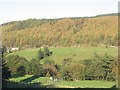 Sirhowy Valley near Tredegar