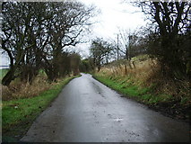 SD8847 : Greenberfield Lane, Barnoldswick by Alexander P Kapp