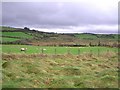 Killycapple Townland