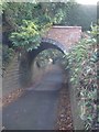 Sunken lane within Madresfield Court gardens