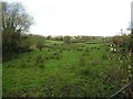 Drumgaw Townland