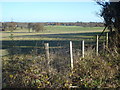 Sheep pasture at Upper Woodsfield Farm