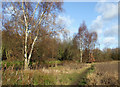 Nature Reserve and Canal, Compton, Wolverhampton