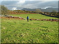 Farmland near Brwyn-llynau