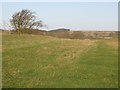 Pastures and woodland north of High Baulk