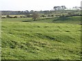 Pastures near High Baulk (2)