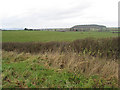 Grazing land at Highleadon