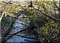 Smestow Brook north of Compton, Wolverhampton