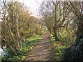 Footpath alongside the mill stream