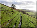 Byway near Penycloddiau