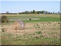 Field and paddocks to the NW of Hangman