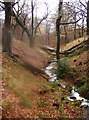 Stream flowing from Mynydd Machen