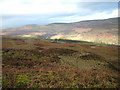 East side of Cumrew Fell