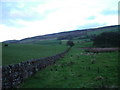 Farmland by Brackenthwaite