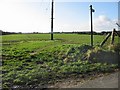 Footpaths across the field, near Martin Mill