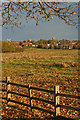 Lincoln Cathedral from West Common