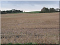 Stubble field near Veldt House