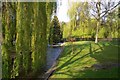 The River Itchen at Winchester