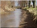 River Slea downstream of Cogglesford mill