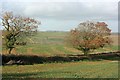 2007 : Farmland near Baggridge