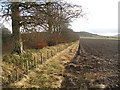 Newly ploughed field