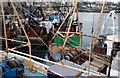 Trawlers at Ardglass (4)