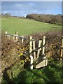 Stile near Toney