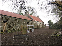 N5181 : Old farmstead, Raclaghy, Co. Cavan by Kieran Campbell