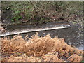 Weir on the River Colne, Golcar