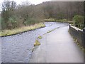 The canal aqueduct,  Golcar / Linthwaite