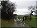 Footpath to Dol-y-felin