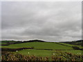 Looking North from A483