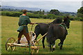 Roman chariot at Viroconium