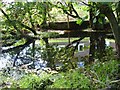 Pool by Cyfronydd Station