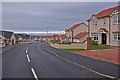 Housing in Castleton Village