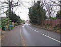 Suburban country lane - Thames Ditton