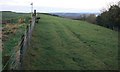 Footpath at Gibside Hillhead