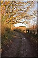 Lane and bridleway to Lodge Farm House, nr. Downton