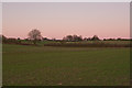 Looking across farmland from Avon Valley Path towards Lode Hill, nr Downton