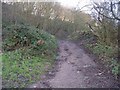 Footpath from Wood Lane up Post Hill