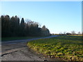 View of Baslow Road (A619) from Layby  at Chanderhill