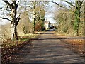 The Lane to Towthorpe Grange